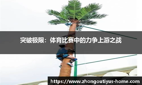 中欧体育平台